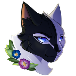 No Shading (...yes ok just a little but it's free)) No Shading (...yes ok just a little but it's free))